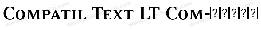 Compatil Text LT Com字体转换